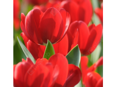 21-25 Марта выходной!